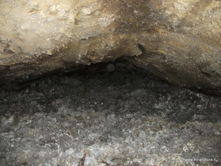 otta Petralia-17-03-2013 10-05-43